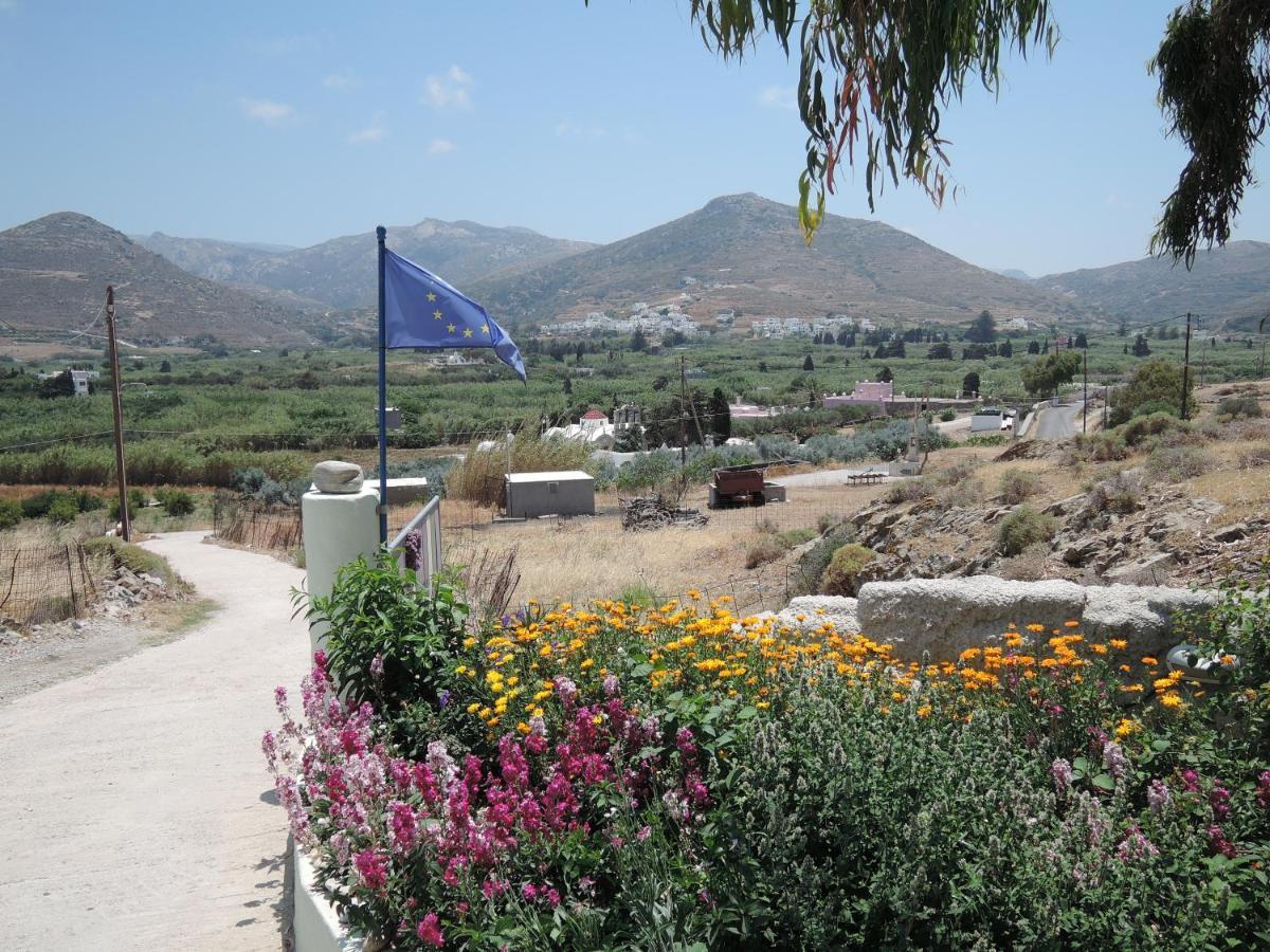 Studios Kapsali Galini (Naxos) Exterior foto